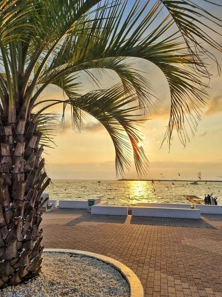 <span style="font-weight: bold;">Солнце и море</span>